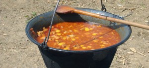 gulas-dhz.jpg